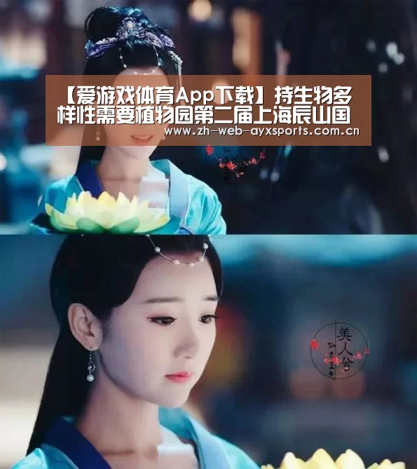 爱游戏体育App下载