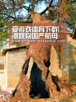 爱游戏官方